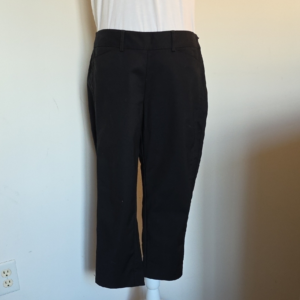White House Black Market Elegant Black Pants